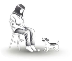 Georgia Dog Training Passive Dog Attention Seeking