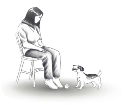 Dog Passive Attention Seeking still can be a problem if you give into your dog's command