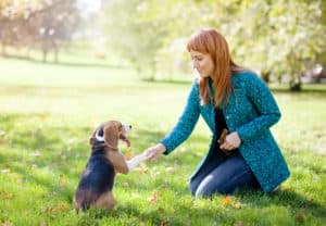 Dog Training tips for our neighbors in Dahlonega and all over North Georgia designed to get you off on the right foot with your dog.