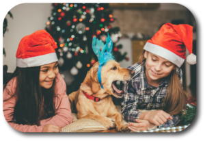 You need to be especially observant of your dog and Christmas house guests to make sure your dog will remain safe and well behaved