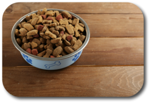 Healthy and nutritious additions to make healthy food taste great for your dog