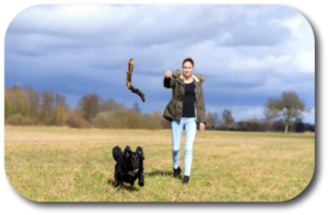 Teach your dog to fetch through multiple small steps that can be communicated as successes