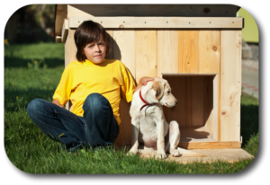Turn your dog's dog house into his home by making it safe and happy