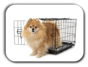 The Dog Crate is an excellent training tool and a place of comfort and safety for your dog