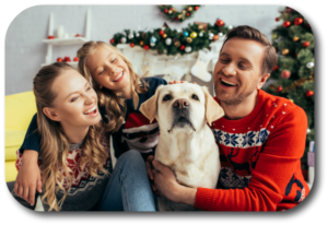 Keep Your Dog Safe when Holiday Guests