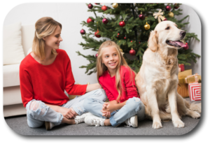 Tips to keep my dog and family safe at Christmas