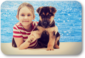 How to teach pool safety to your dog or puppy