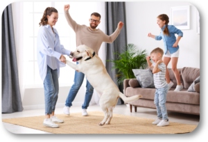 Stop having your dog jump and be crazy all over your house guests