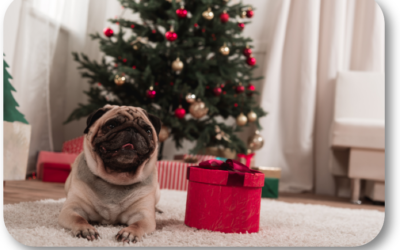 Is Giving Christmas Puppies as a Gift a Good Idea?