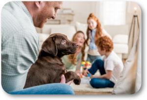Teach your puppy proper manners the day you bring him home