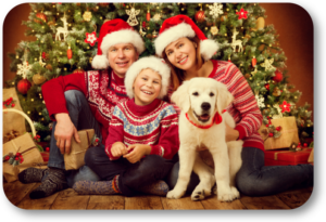 What is Important in Training your new Christmas Puppy