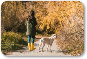 Tips for walking your dog