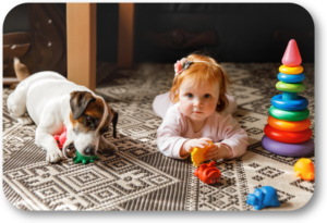 Keep your dog's toys separate from your children's toys