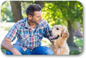 What are some key foundations in dog training