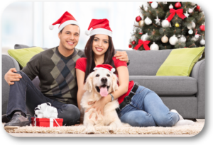 Last minute ideas to keep your dog safe at Christmas