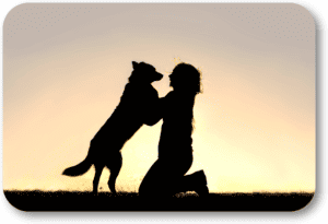 Guidelines for a responsible dog owner