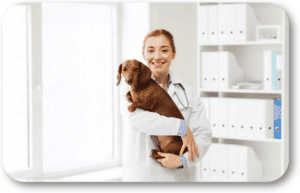 Make the Vet Hospital a great experience for your dog
