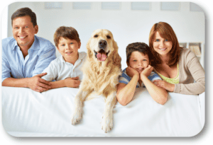 Learn how family dynamics can impact a dog's behavior