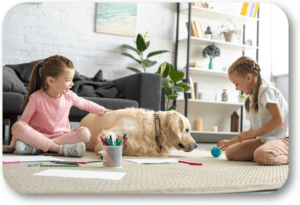 Stop your dog stealing your kids' toys