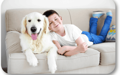 What Can I Do to Assure My Dog and Young Son are Best Friends?