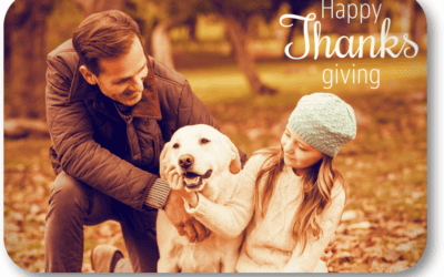 How Can I Keep My Dog Safe and Happy at Thanksgiving?