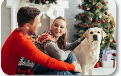 What Are Some Last-Minute Ideas to Keep My Dog Safe on Christmas?