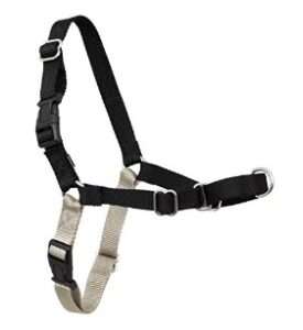 Easywalk Harness for Dogs