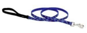 Six foot leash for smaller dogs