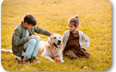 How Should My Children Safely Play with the Family Dog?