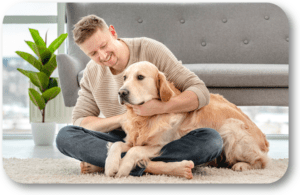 Create special times for your dog when you are not always home